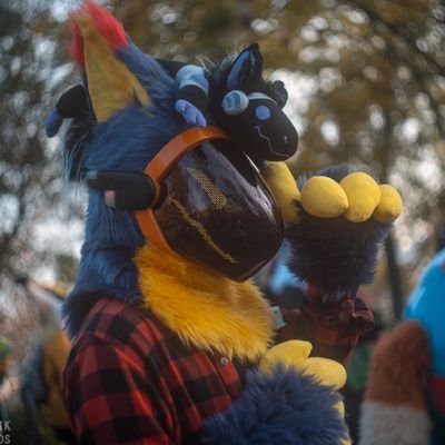 slav_furry's profile picture. electrical engineering , audio systems
And photography 

18yo+