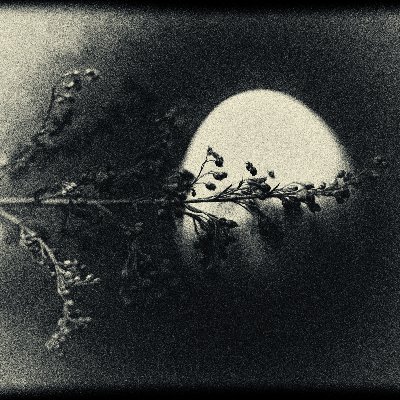 machimoto19801's profile picture. Photography. My works.
詩と写真。
ゲーム大好き
Free Tibet
闘病生活

自分の見たい景色を創造する
グッズ
https://t.co/uDV1cKVRv9
インスタ
https://t.co/q6iESo8hHh