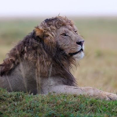 brsagar2412's profile picture. 