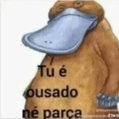 BernaFn7's profile picture. 