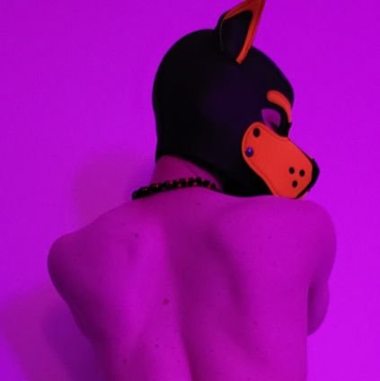 pupp_nate's profile picture. 🐶 Puppy 🏳️‍🌈 23 yo 💦 Sub & Bottom 🔞 NSFW & DM Open