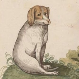 nkkrcv's profile picture. Socialist, he/him