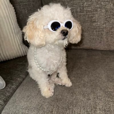 Mwgraham3's profile picture. “A life ain’t a life till you live it” -Mac