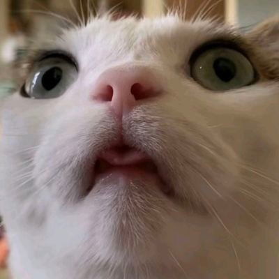 younggxxd's profile picture. 