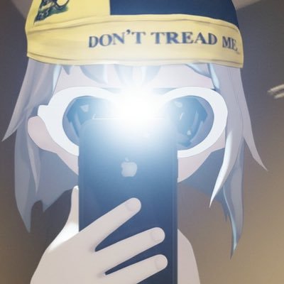 JirkaSaFuCalls's profile picture. CEO OF EVERYTHING