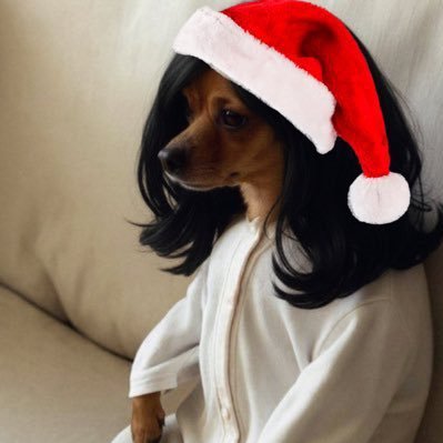 fardeala's profile picture. فردِ اعلا، راننده کامیون، سفیر تف تو دهن