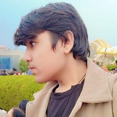 Vansh_CodesML's profile picture. 17 | Curious about tech, AI & startups | I debug code and question politics | Full-stack • AI | Not-religious
