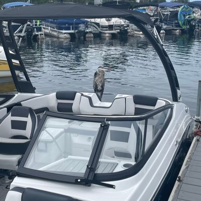 honglelin5's profile picture. X