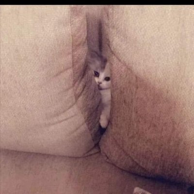 n0staIg1a's profile picture. my new acount, yuck fou x