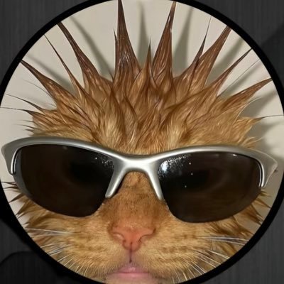 icicestjul's profile picture. 