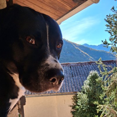 maelle006's profile picture. Le temps n'est pas de l'argent c notre temps de vie...