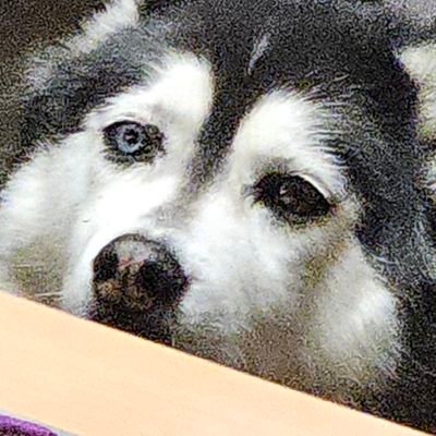 Zotermz69xgzg's profile picture. 