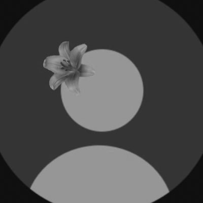 Loxn_30's profile picture. 