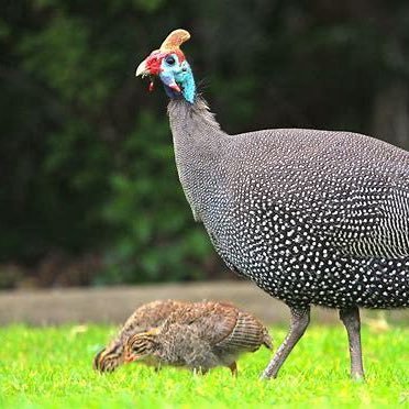 attaheer_mg's profile picture. Yes i have been here for 14years @attahir21