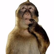 DxrnRBLX's profile picture. roblox dev and content creator