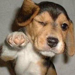 Farandr_'s profile picture. "Lo único necesario para que el mal triunfe es que la gente buena no haga nada"