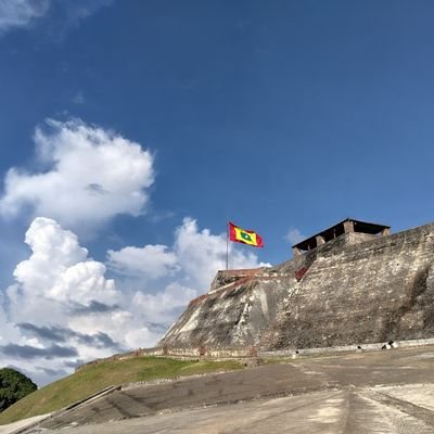 clemesusana's profile picture. 