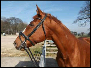 dg74s's profile picture. 