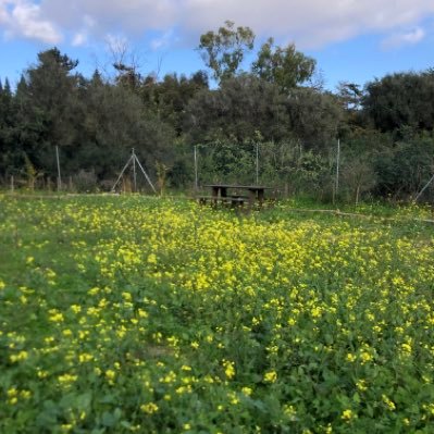 markmifsud91's profile picture. Sports Management