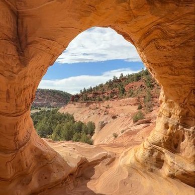 Sarah14762's profile picture. B