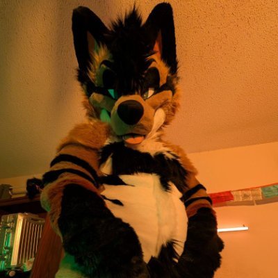 HydraShaftoeAD's profile picture. NOT SAFE FOR WORK

Fursuiter, murrsuiter. engineer, glowboy,  @Boot_Loops_AD is my mate.

@hydravelsen for my clean twitter.