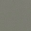 Tenzellinho's profile picture. 