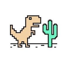 MetaVersua's profile picture. compass cactus.