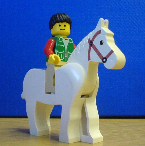 Working for @ibmets Passionate about all things equine
