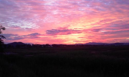 kbw909's profile picture. 자유로운 영혼,호기심 많은 멍청이,