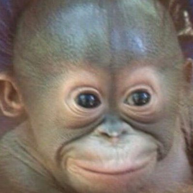 ChimpSwarm's profile picture. She/Her, 18, cisgender, @quadrakyiro 🐟 my beloved,
The world loves you, I bless your bloodline for 18 generations