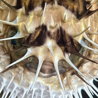 BrittanyBoubel's profile picture. 