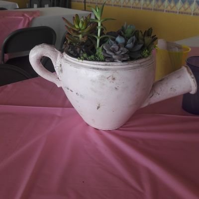 Maygall81's profile picture. 