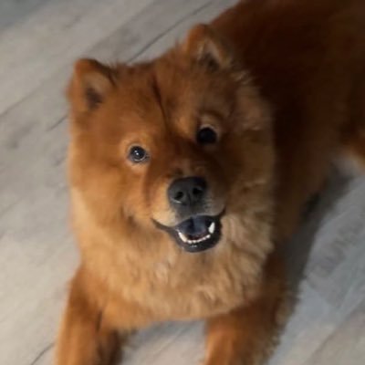 NotRealCashper's profile picture. God First | Marketing Consultant | Strategic Advisor | Web3 Enjooyer | #FreeStacc