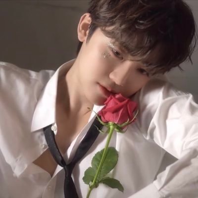 nct81345's profile picture. 우린 마치 영원한 사랑을 하는 것 같아