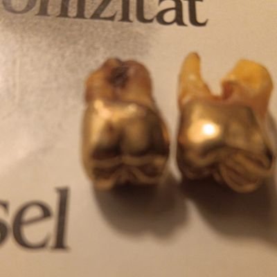 paulo_brune5303's profile picture. 