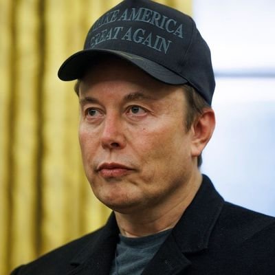 ibpor86473973's profile picture. CEO and chief designer of space x, CEO and product of Tesla