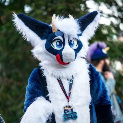 thatfellowApo's profile picture. 🇫🇮 | 29 | ♂️ | Fursuiter | Have addiction to planes I 
Ramp Agent | big fluffy dum dum 🔞
