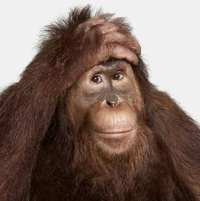 Gustav0Tete's profile picture. The Past Should Give Us Hope