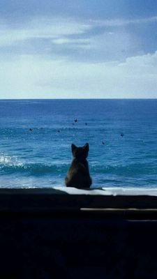 SocPatterY's profile picture. مهتم بفهم المجتمع، واحب اسولف