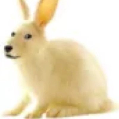 bunxbt's profile picture. vibe trader