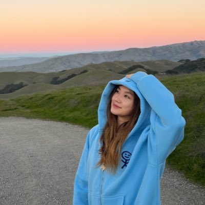 luoluo's profile picture. reasoning model @xai yap gear @mit