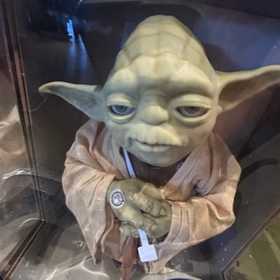 noahhgonzales's profile picture. 