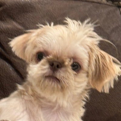 khemisgone's profile picture. 