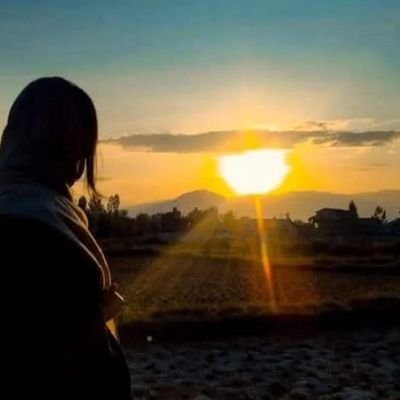 meldoz39's profile picture. 