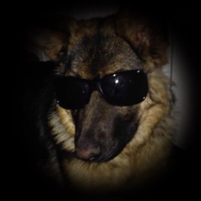 beetleprty's profile picture. i have complex feelings about dean winchester