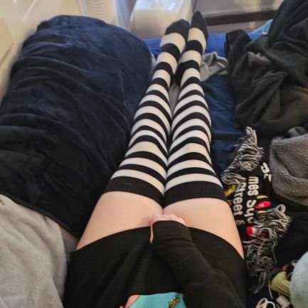 FluffySakanya's profile picture. meow~ *purr purr purr* *licks you* :3