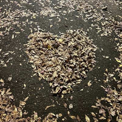 ochina_san's profile picture. 