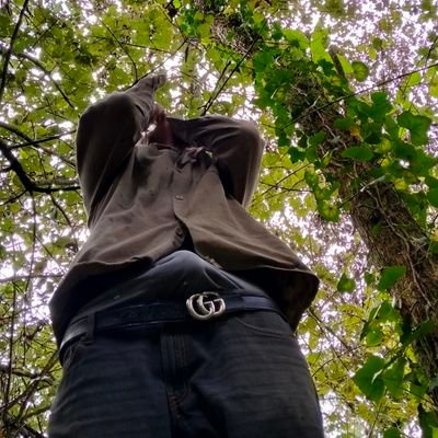 Marioalber70931's profile picture. 