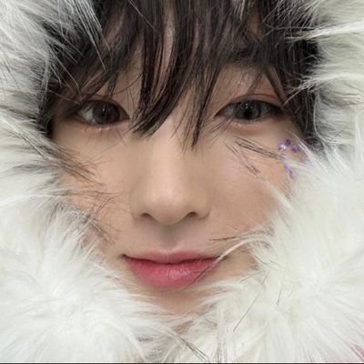 🧸 ’ kai . !! | estará no brinapalooza!!!!