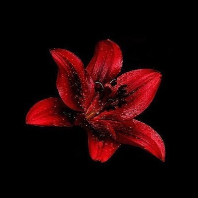 9reill's profile picture. 